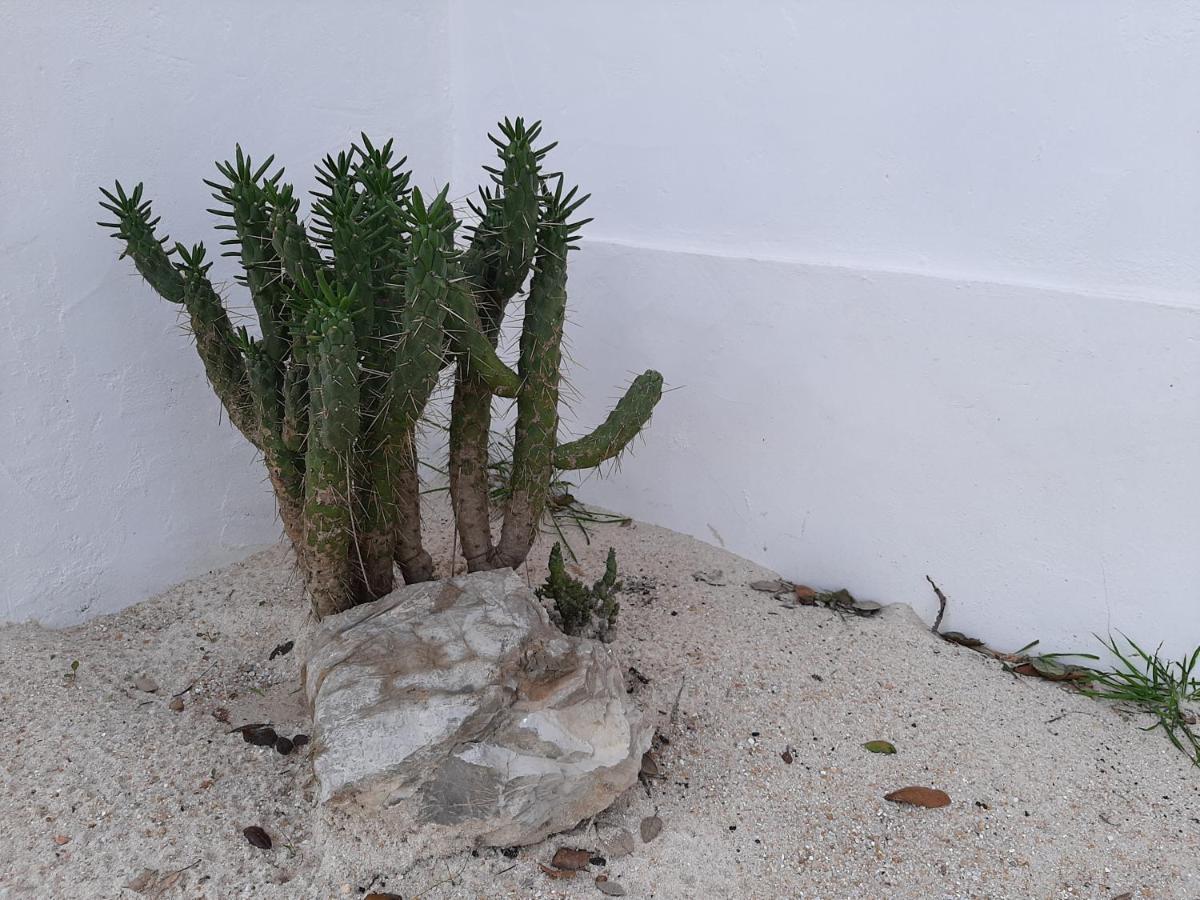 Вилла Monte Vale Manhas By Hi Alentejo Sao Bartolomeu da Serra Экстерьер фото